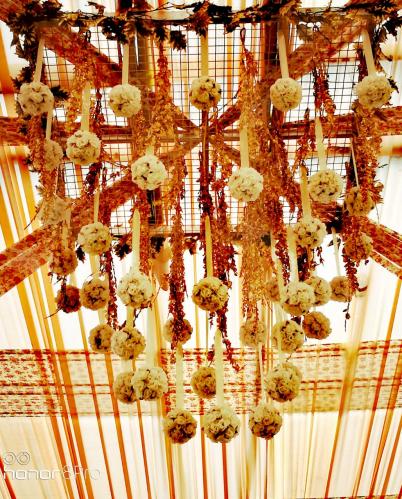 Photos by Imperial Display Counters